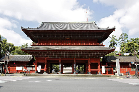 Sightseeing Tokio
