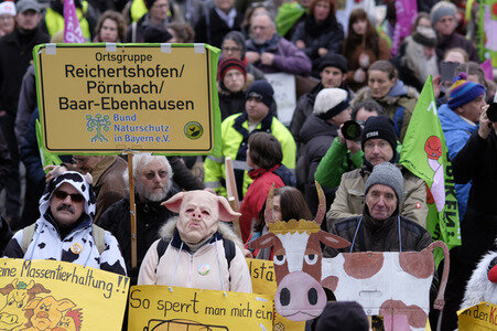 Demonstration 'Wir haben es Satt!' in Berlin
