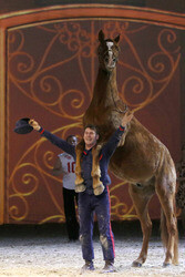 Apassionata Show 'Die goldene Spur', Dortmund