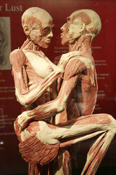 'Körperwelten - Eine Herzenssache' Pressekonferenz, Hamburg