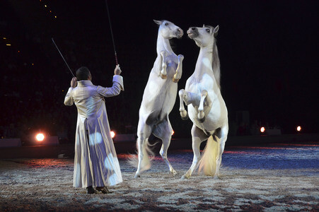 Pferdeshow 'Apassionata - Im Bann des Spiegels' in München