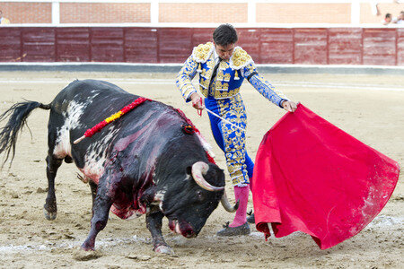 Stierkampf in San Sebastián de los Reyes