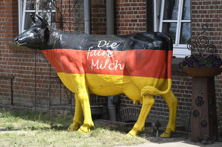Angela Merkel besucht einen Milchbauernhof in Nienborstel