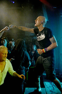 Konzert von Los Fastidios in Hannover