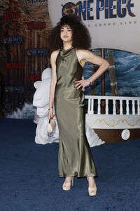 Fan Event 'One Piece: Into The Grand Line' in Los Angeles