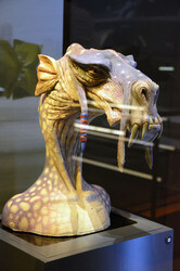 Ausstellungseröffnung 'Star Wars Identities' in Köln