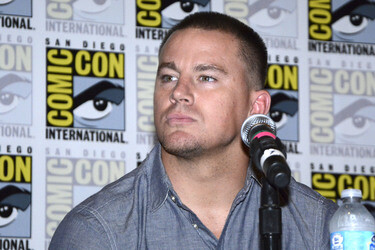 'Book of Life' Panel, San Diego Comic Con