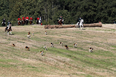 Rügen Cross Country 2014