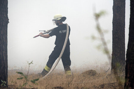 Waldbrandbekämpfung bei Treuenbrietzen