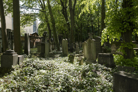 Symbolfoto Friedhof