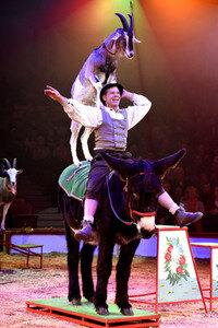 Premiere der 2. Winterspielzeit 2018 des Circus Krone in München