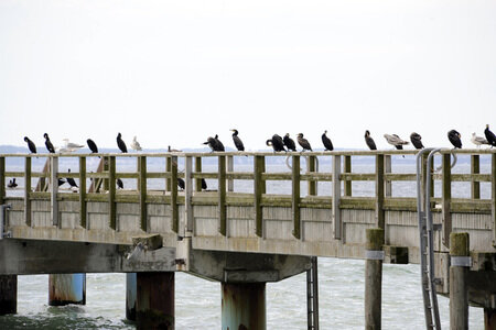 Impressionen von Sassnitz auf Rügen