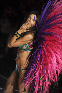 Victoria's Secret Fashion Show 2015