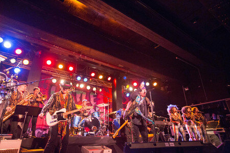 Konzert von Little Steven & The Disciples of Soul in Hamburg