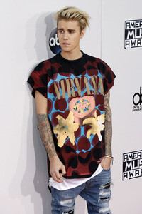 American Music Awards 2015