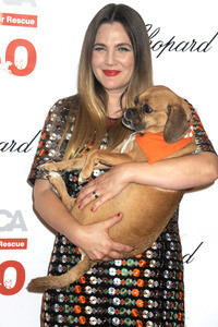 19. ASPCA Bergh Ball in New York