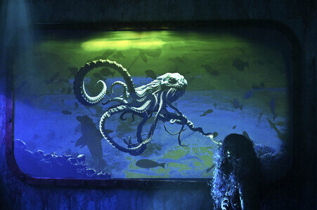 Knott's Scary Farm Opening Night in Buena Park