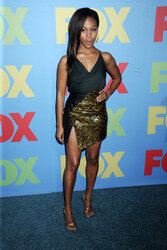 FOX 2014 Programm-Präsentation, New York