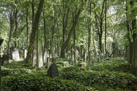 Symbolfoto Friedhof
