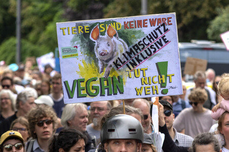 Bundesweiter Klimastreik von Fridays for Future in Hamburg