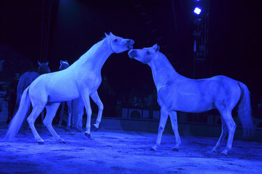 'Evolution' Weltpremiere im Circus Krone, München