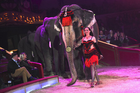 Circus Krone Premiere in München