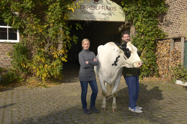 'Die Kuhflüsterin' Settermin, Wesseling