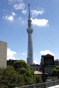 Sightseeing Tokio