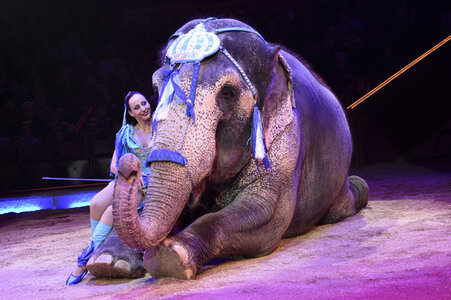 Circus Krone Premiere in München