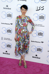 Film Independent Spirit Awards 2015, Santa Monica