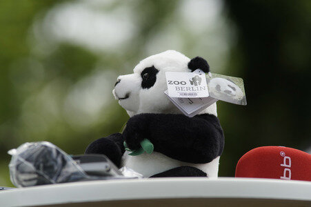 Eröffnung der Pandabären-Anlage im Zoo Berlin