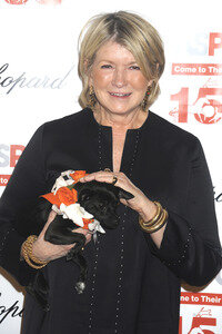 19. ASPCA Bergh Ball in New York