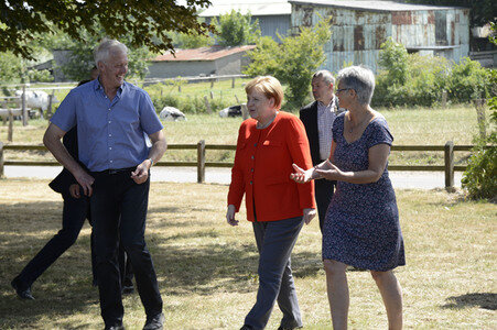 Angela Merkel besucht einen Milchbauernhof in Nienborstel