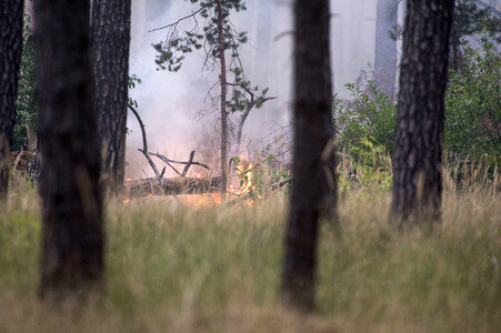 Waldbrandbekämpfung bei Treuenbrietzen