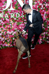 Tony Awards 2018 in New York