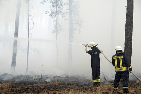 Waldbrandbekämpfung bei Treuenbrietzen