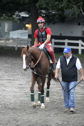 California Chrome bei den Belmont Stakes 2014, Elmont