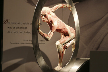 'Körperwelten - Eine Herzenssache' Pressekonferenz, Hamburg