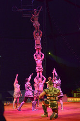 'Evolution' Weltpremiere im Circus Krone, München