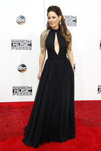 American Music Awards 2016 in Los Angeles