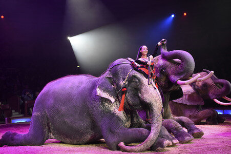 Circus Krone Premiere in München