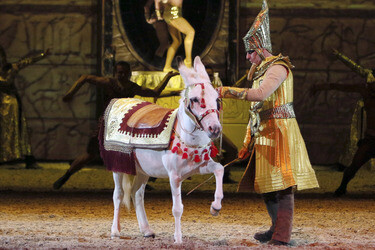Apassionata Show 'Die goldene Spur', Dortmund