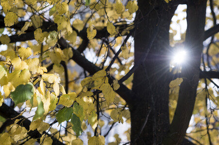Symbolfoto Herbst