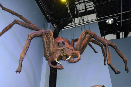 Harry Potter Studio Tour in Leavesden
