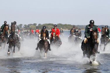 Rügen Cross Country 2014
