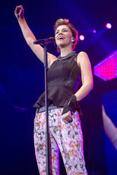 Die große Schlager-Starparade 2015 in Hamburg