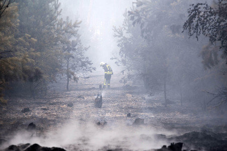 Waldbrandbekämpfung bei Treuenbrietzen
