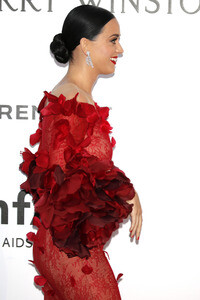 amfAR's Cinema Against Aids Gala, Cannes Film Festival 2016