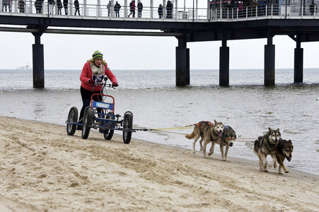 Baltic Lights 2016 auf Usedom