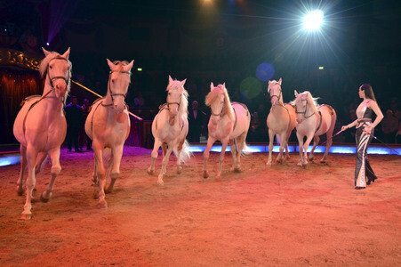 Premiere der 3. Winterspielzeit des Circus Krone in München